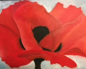 Miss "G's" Poppy